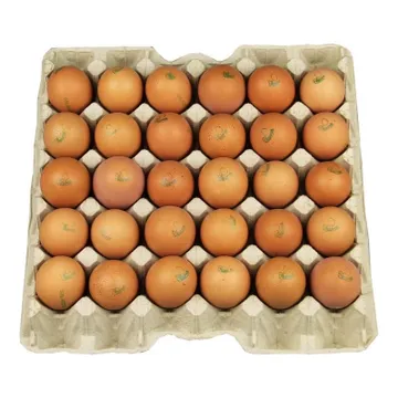 Eieren 30 stuks geseald op tray