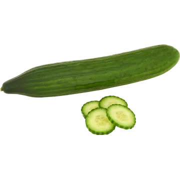 Jumbo Komkommer