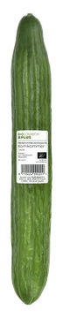 Biologisch PLUS Komkommer