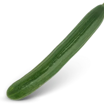Komkommer